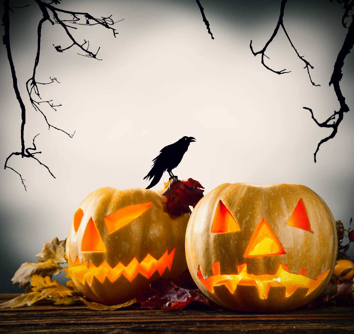 Halloween pumpkins on wood with dark background