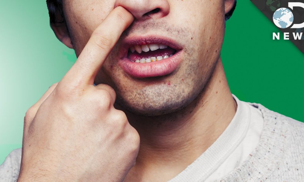 Science Says Picking Your Nose and Eating It Is Good For You BOB 100.7